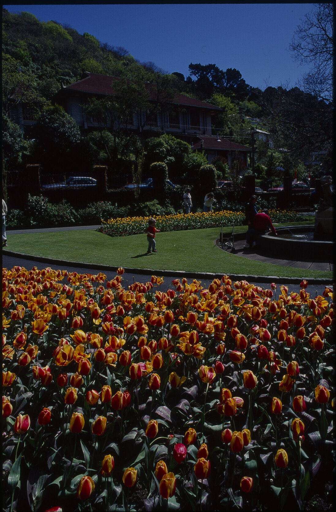 Parks and Recreation - Botanical Gardens