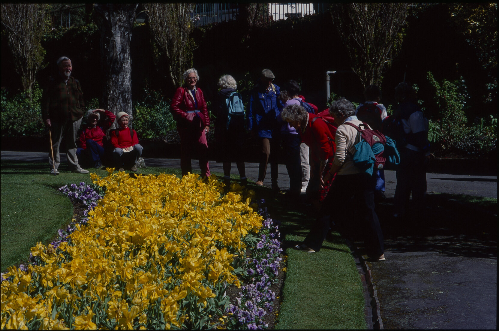 Parks and Recreation - Botanical Gardens