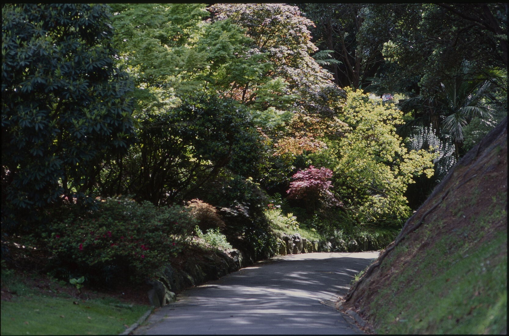 Parks and Recreation - Botanical Gardens