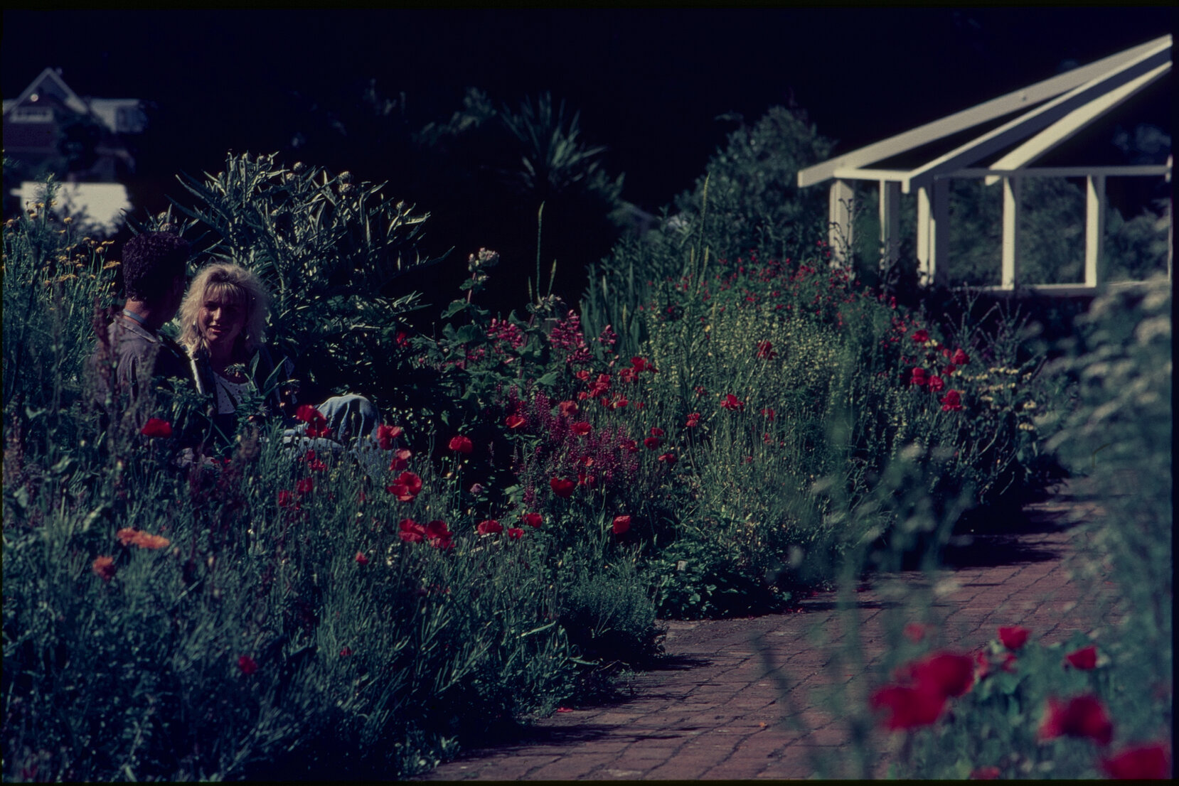 Parks and Recreation - Botanical Gardens