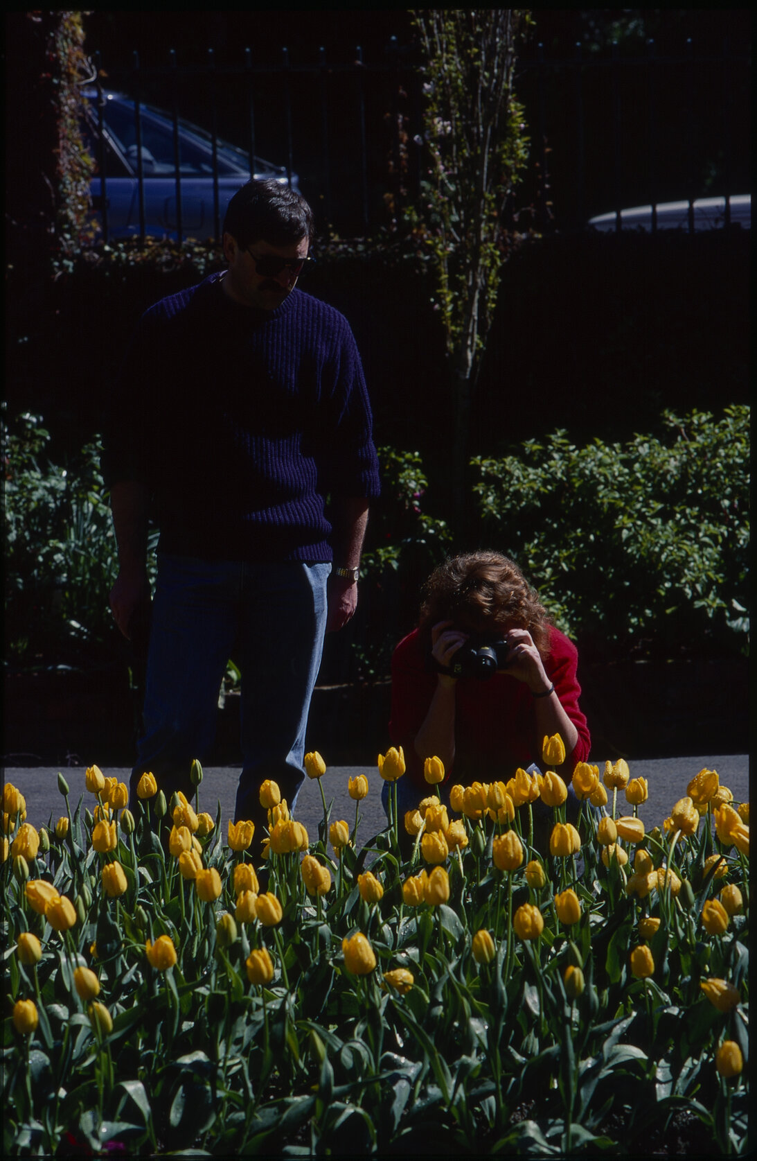 Parks and Recreation - Botanical Gardens