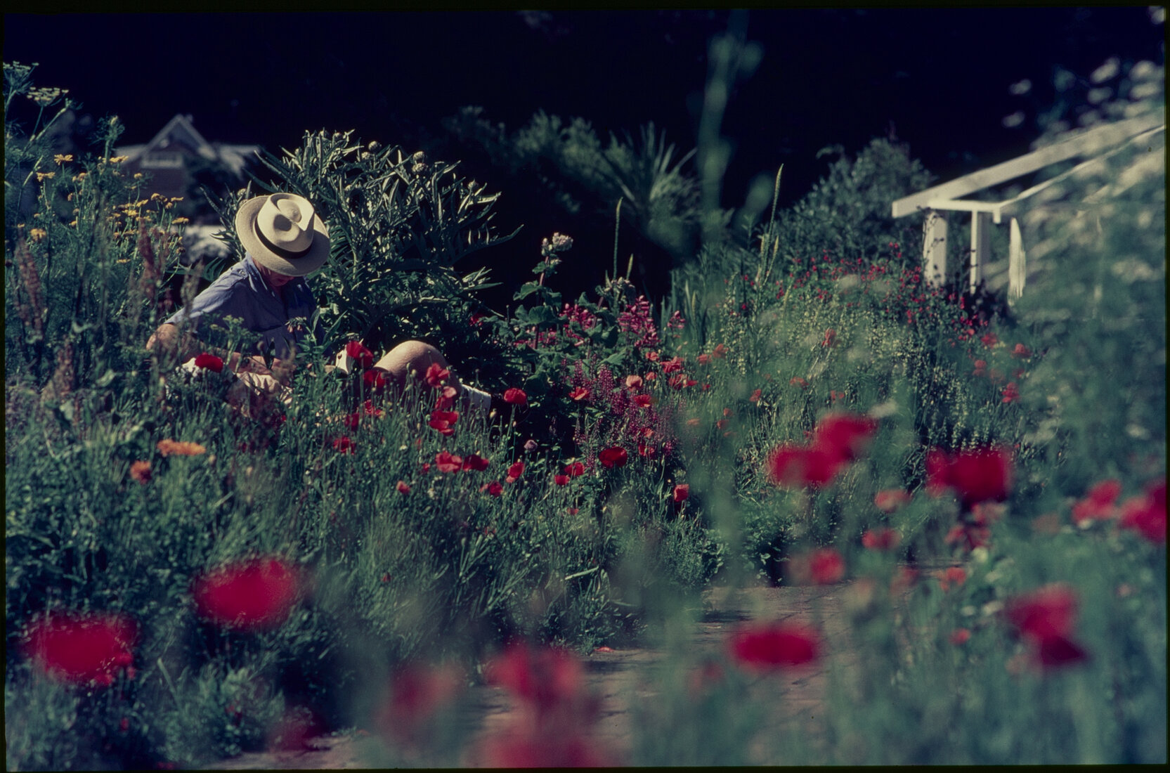 Parks and Recreation - Botanical Gardens