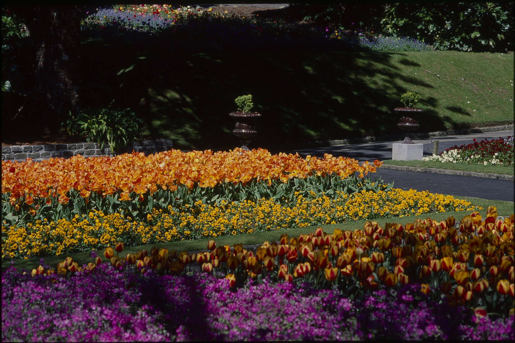 Parks and Recreation - Botanical Gardens