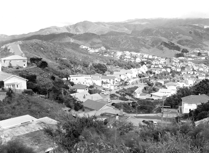 Dwellings, Jackson Street, Island Bay