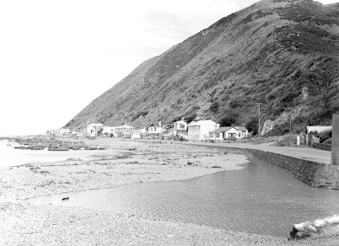 Dwellings at Owhiro Bay