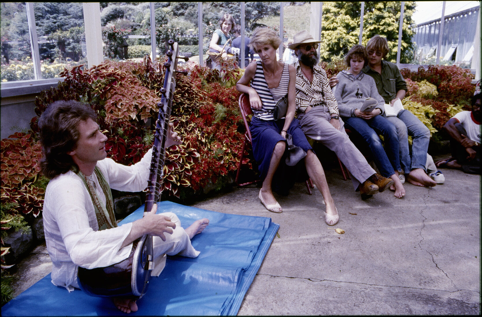 Summer City, Begonia House entertainment