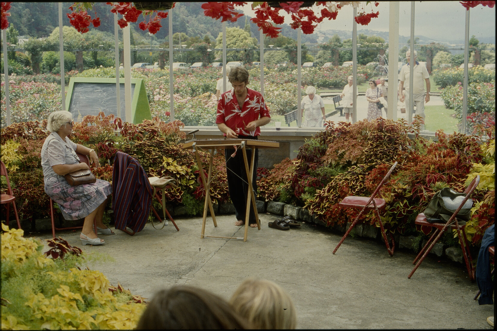 Summer City, Begonia House entertainment