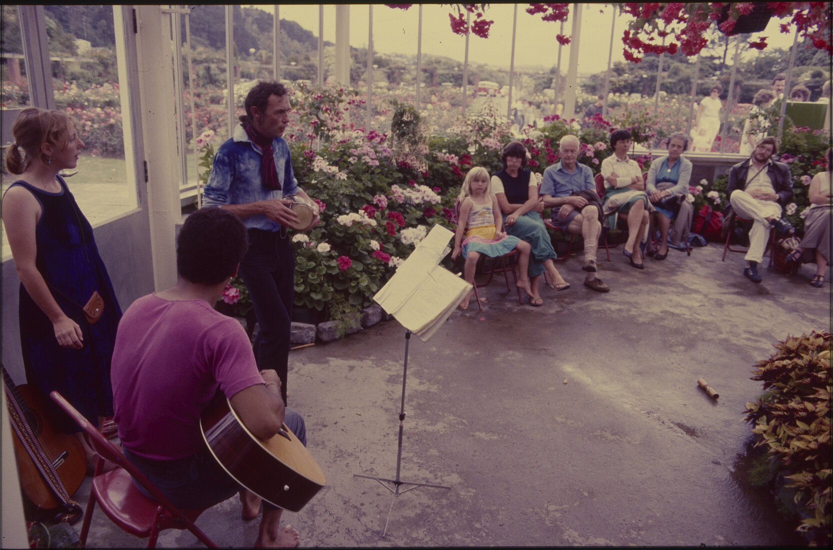 Summer City, Begonia House entertainment