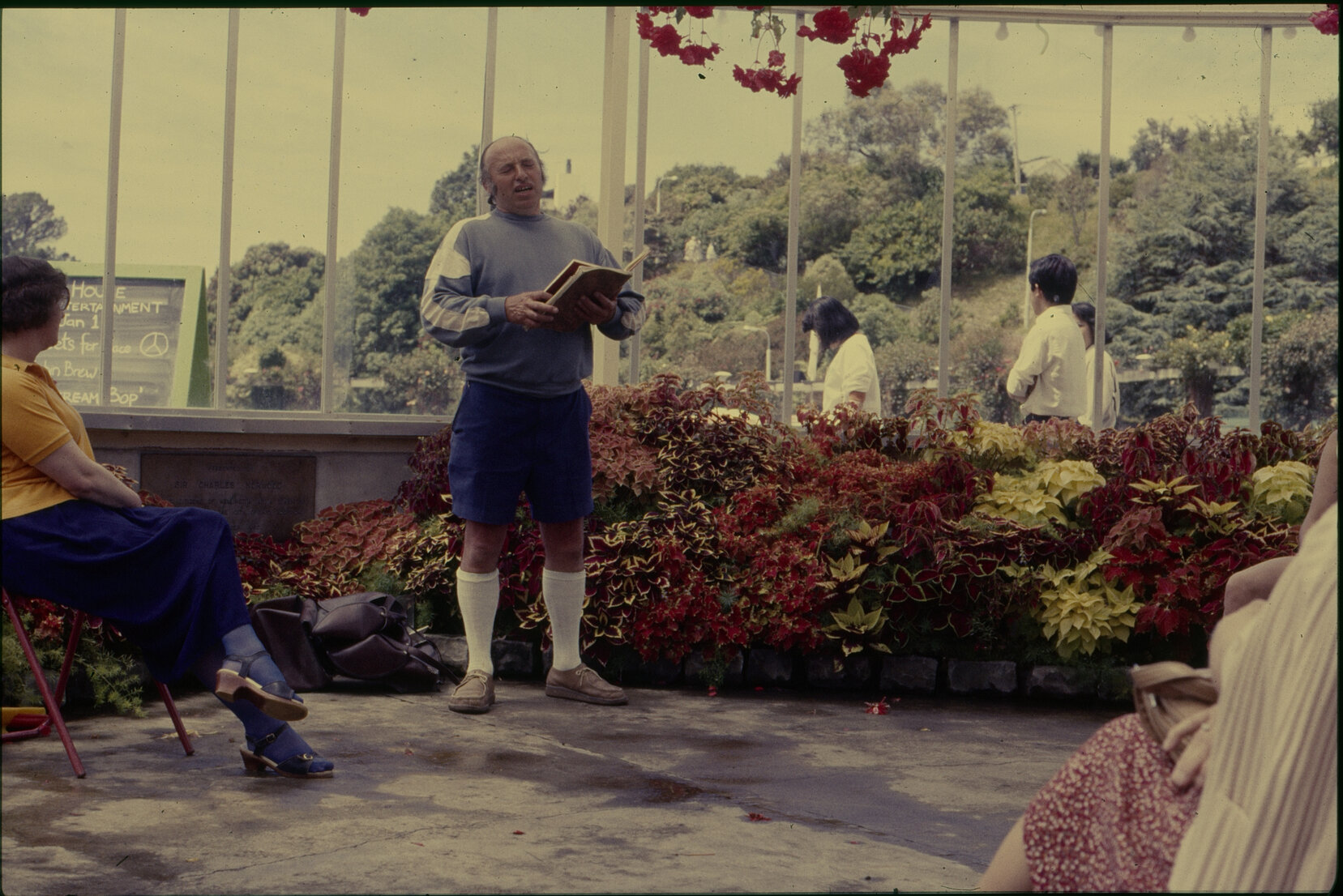 Summer City, Begonia House entertainment