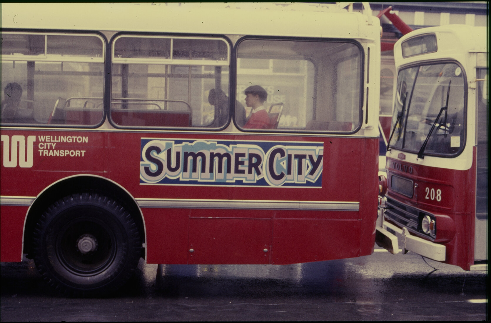 Summer City Bus