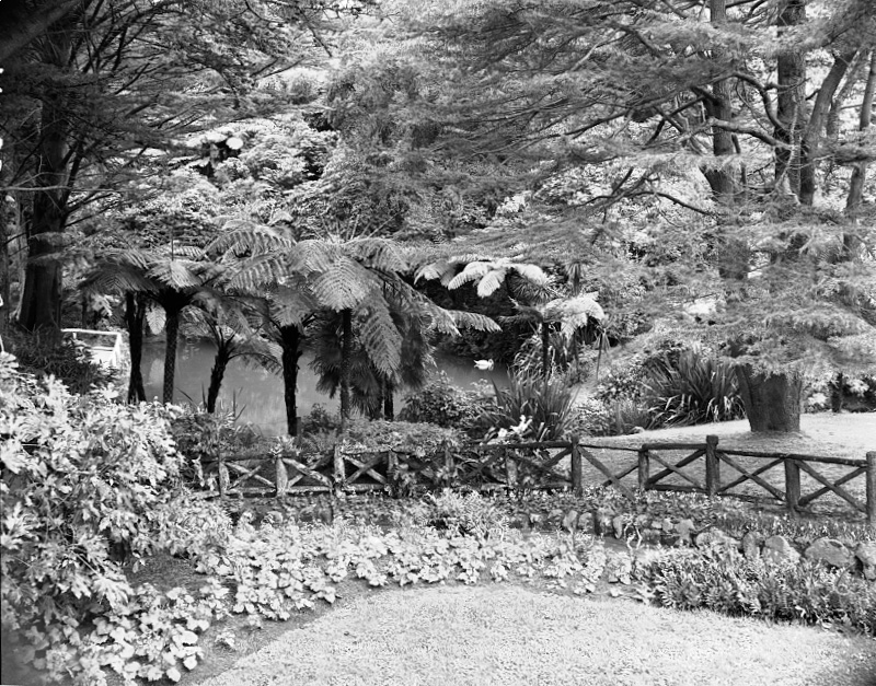 Duck Pond, Botanic Garden