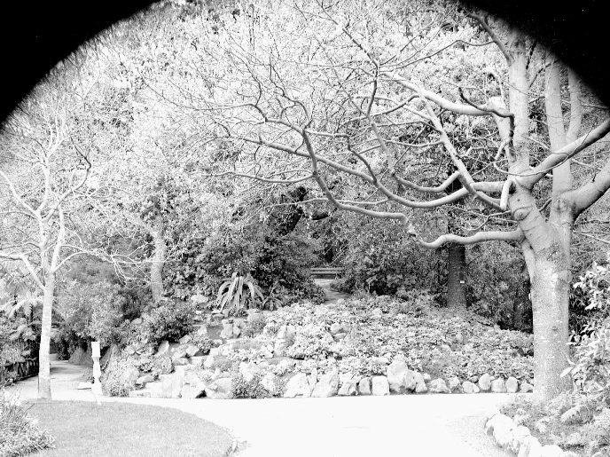 Walkway, Botanic Garden