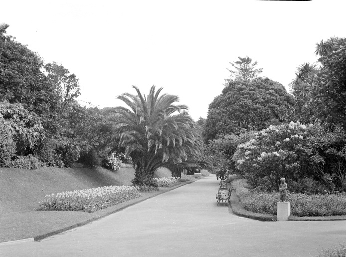 Walkway, Botanic Garden