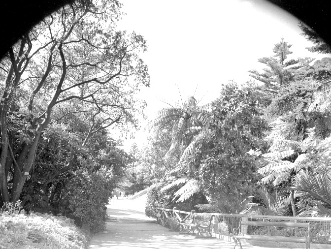 Walkway by Duck Pond, Botanic Garden