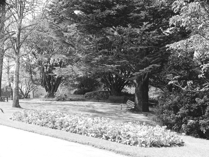 Seating Area, Botanic Garden