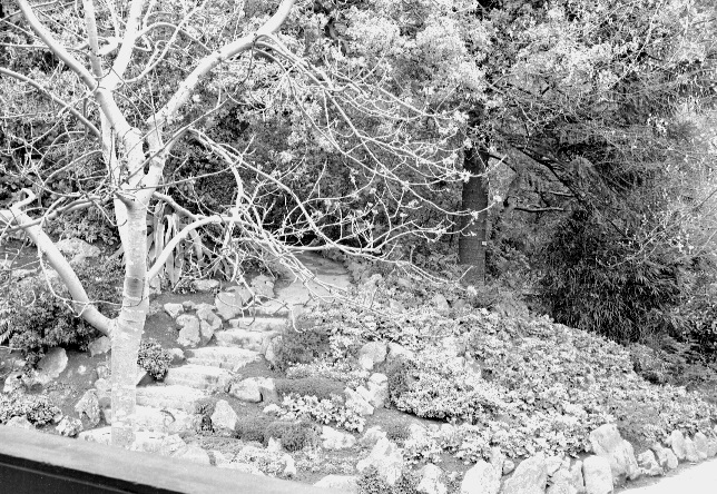 Flower Beds, Botanic Garden