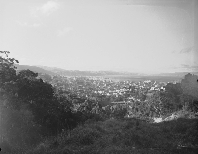 Wellington City Area from Brooklyn