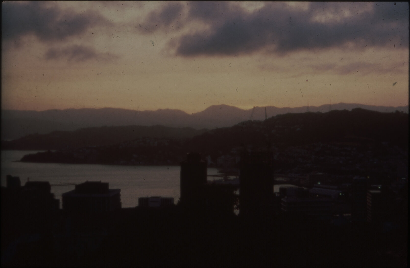 Summer City