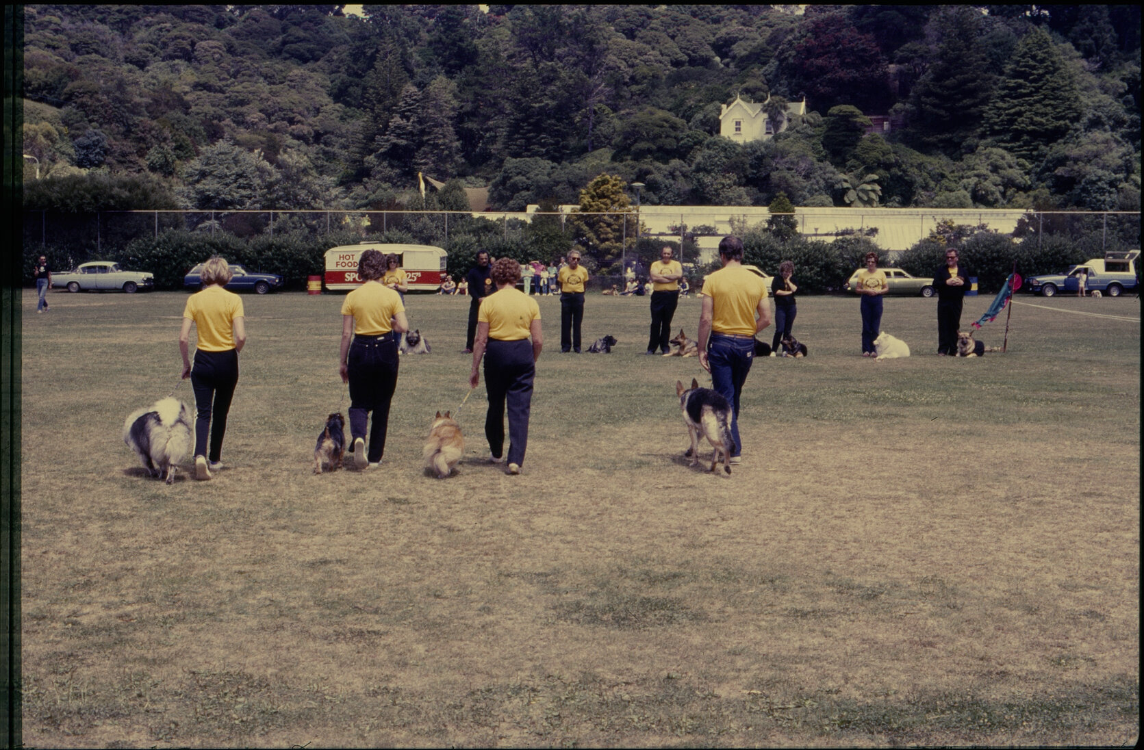 Summer City, dog obedience display