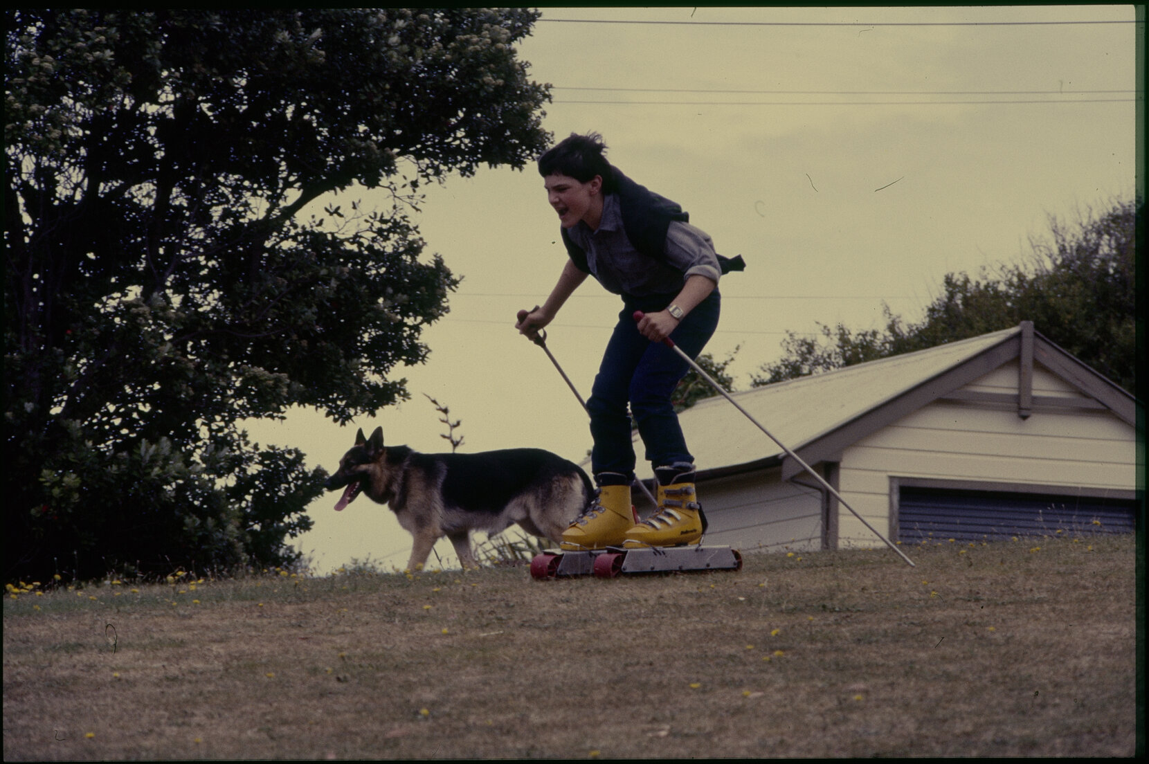 Summer City, grass ski-ing
