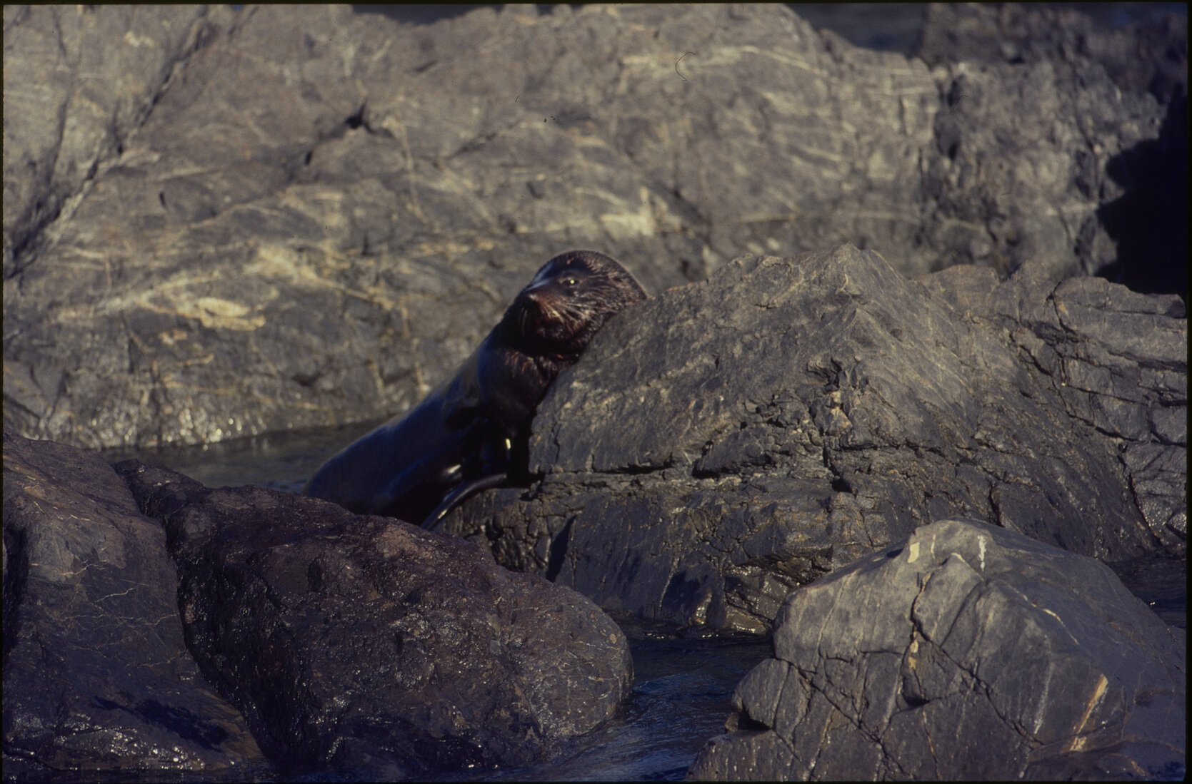 General - Southern Coastal  Scenes