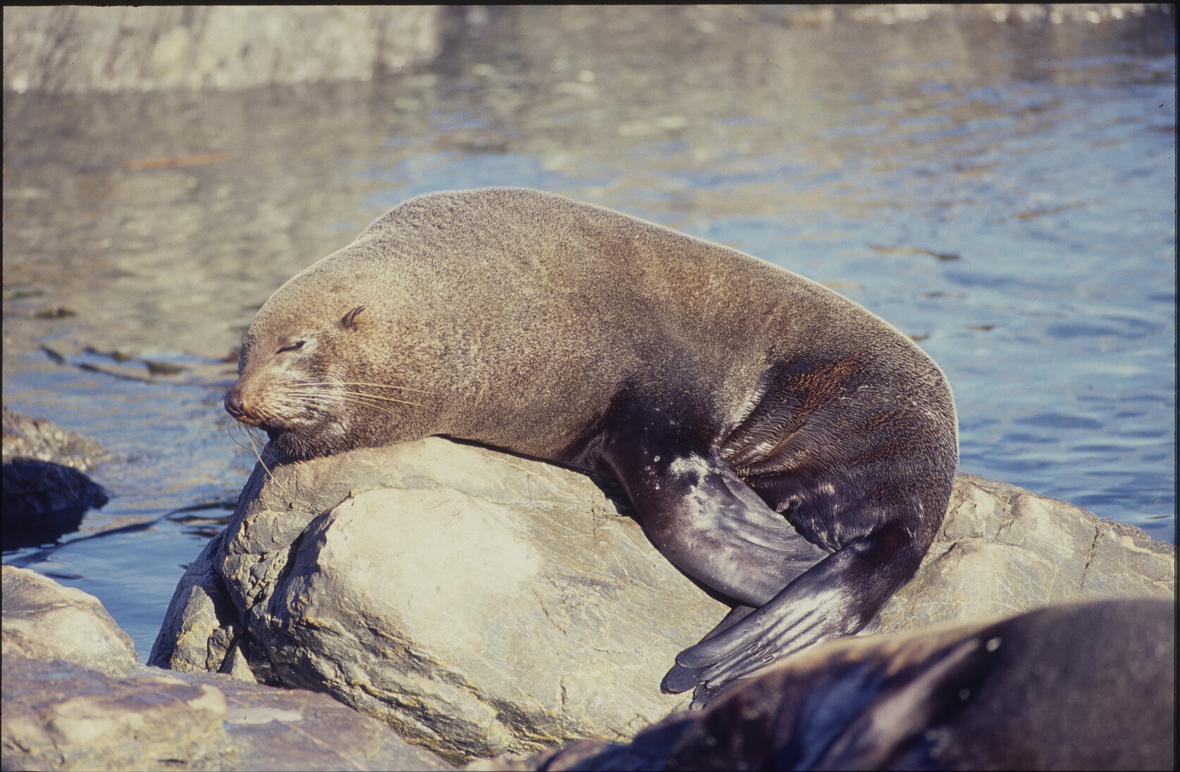General - Southern Coastal  Scenes