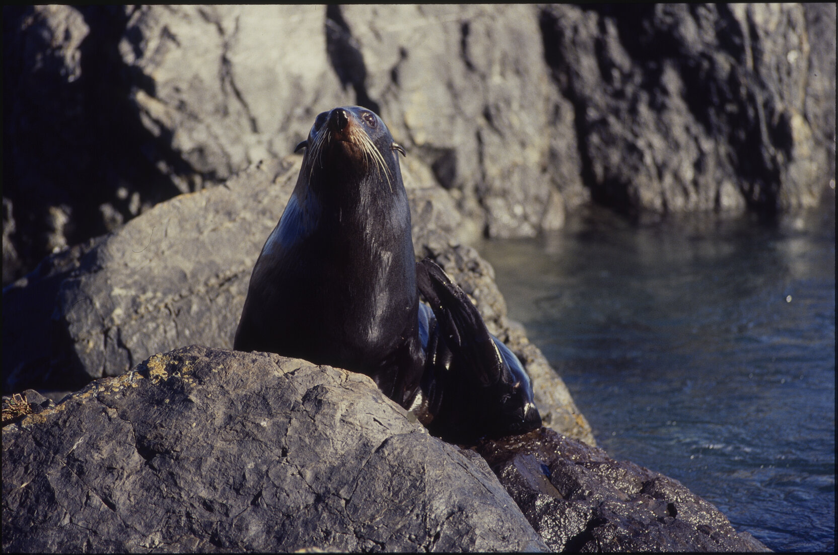 General - Southern Coastal  Scenes