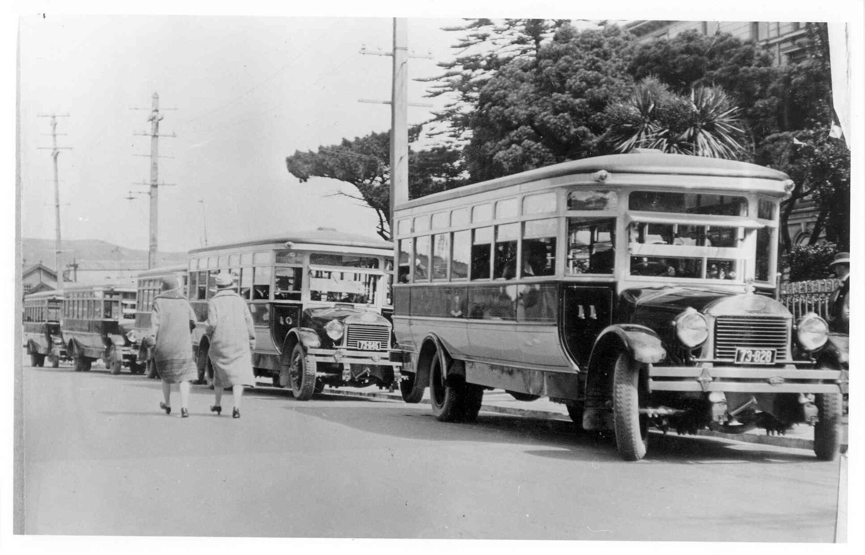 Line of Corporation Buses