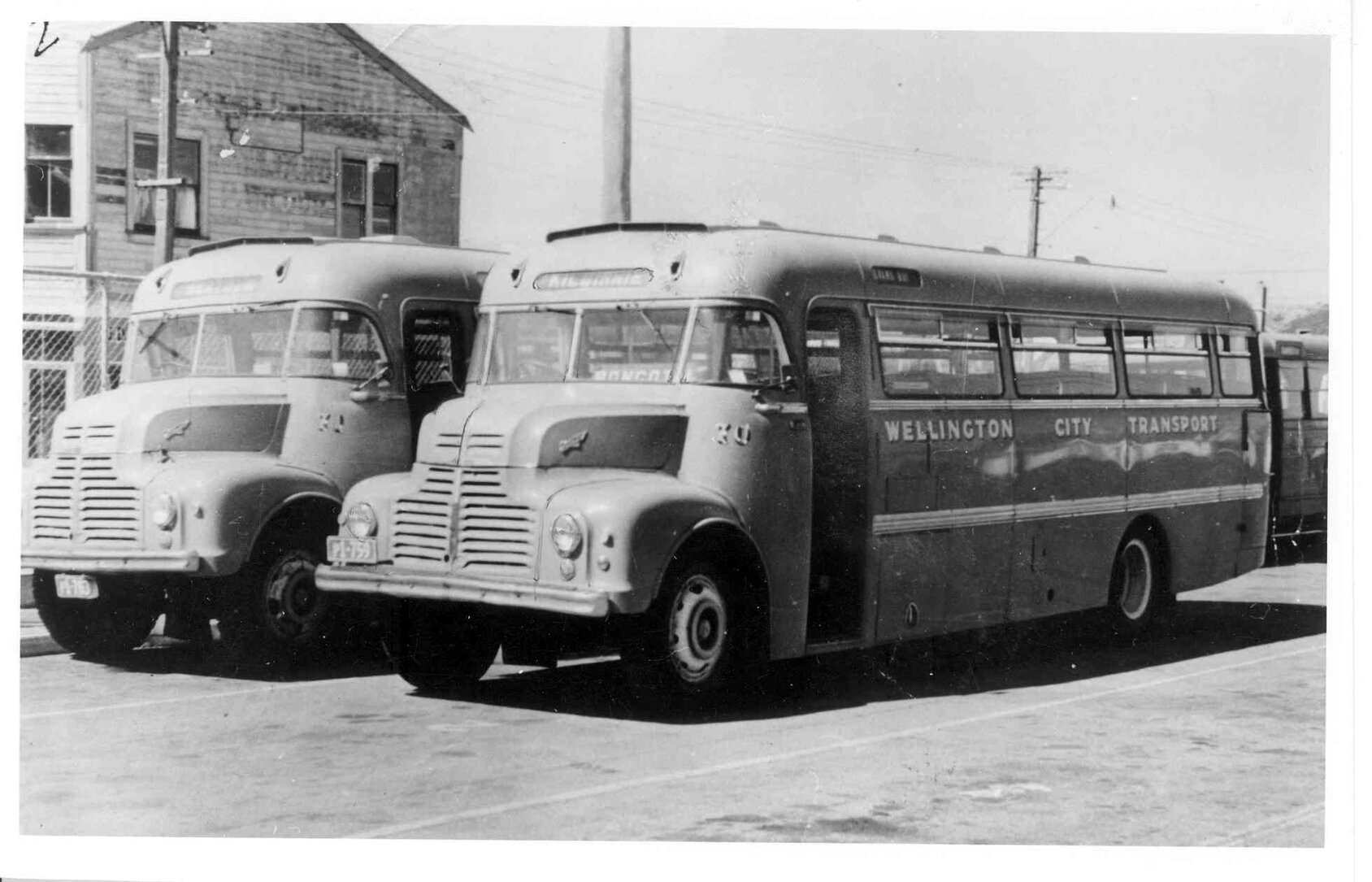 Wellington City Transport Buses