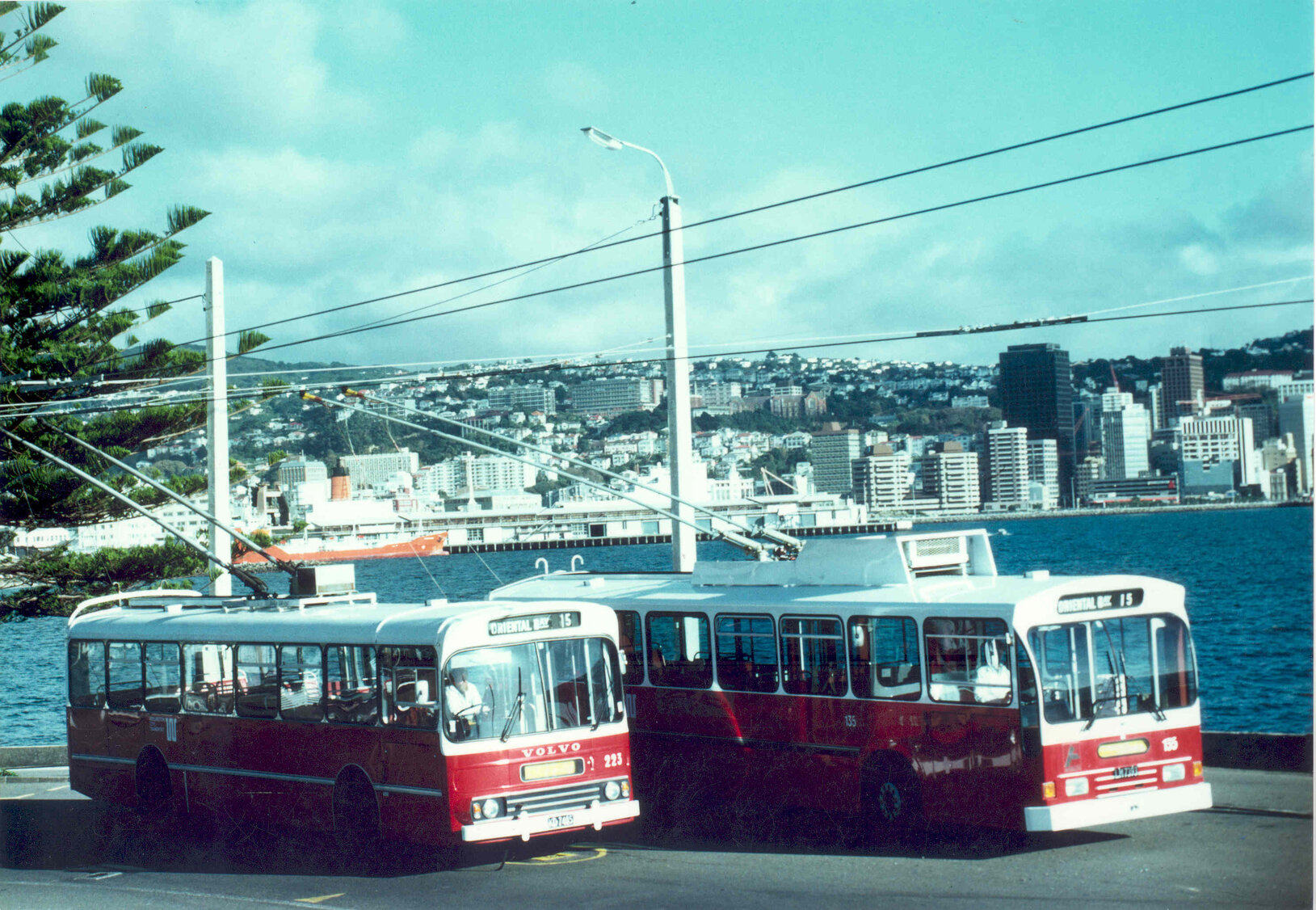 Trolley Buses at Oriental Bay