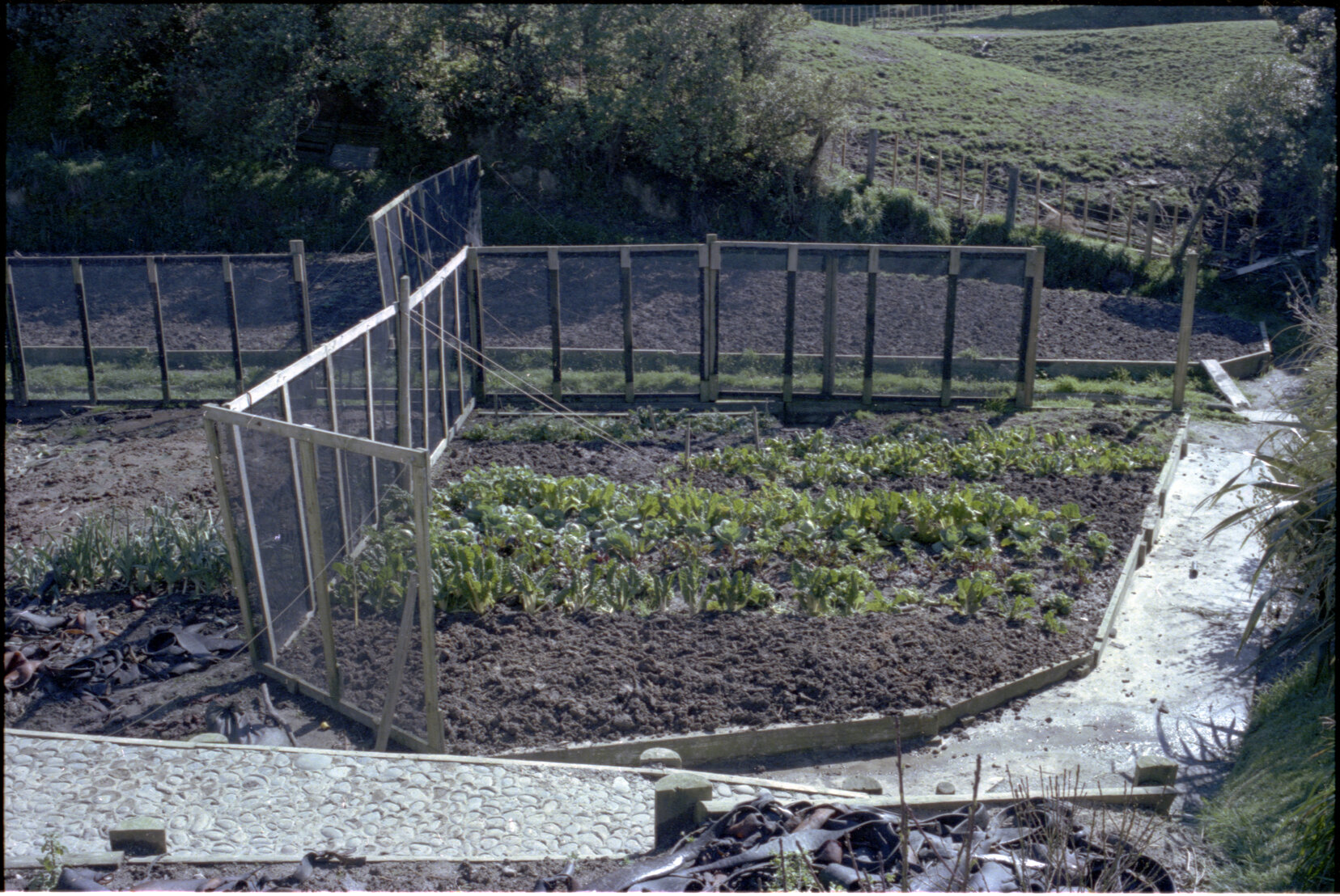 Tapu Te Ranga, marae, main house and gardens, 44 Rhine Street