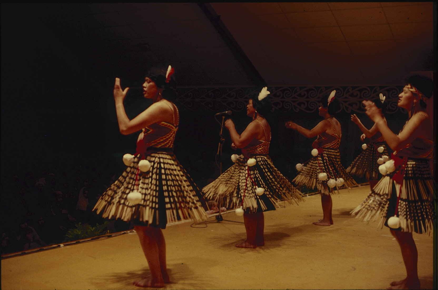 Māori performance, Summer City