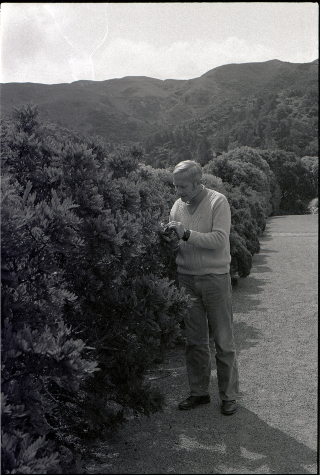 Ray Mole, Otari, 1982
