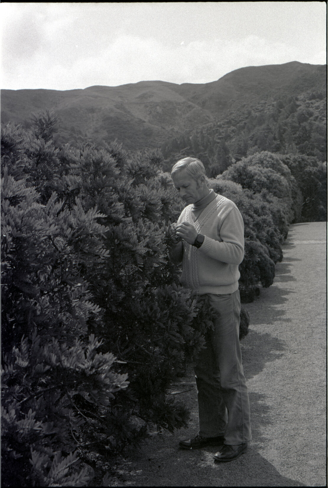 Ray Mole at Otari Wilton Bush.