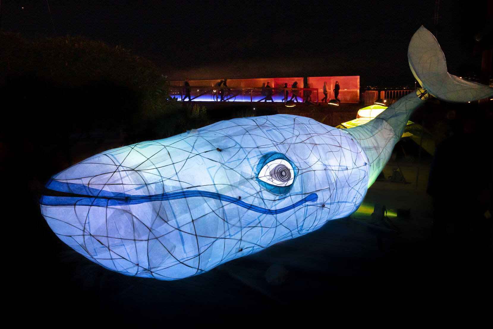 Ahi Kā Matariki, illuminated whale