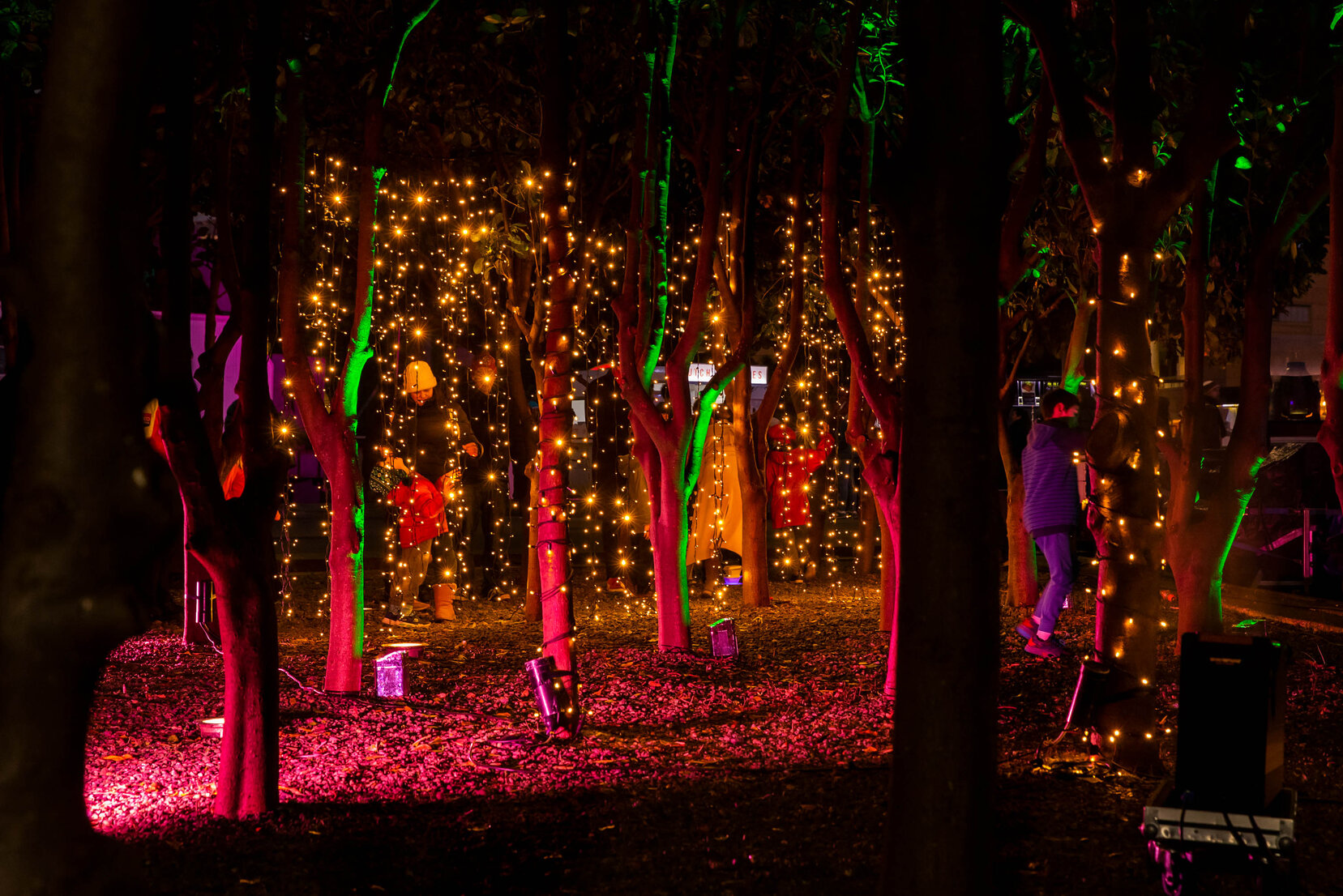 Ahi Kā Matariki, light display on the waterfront
