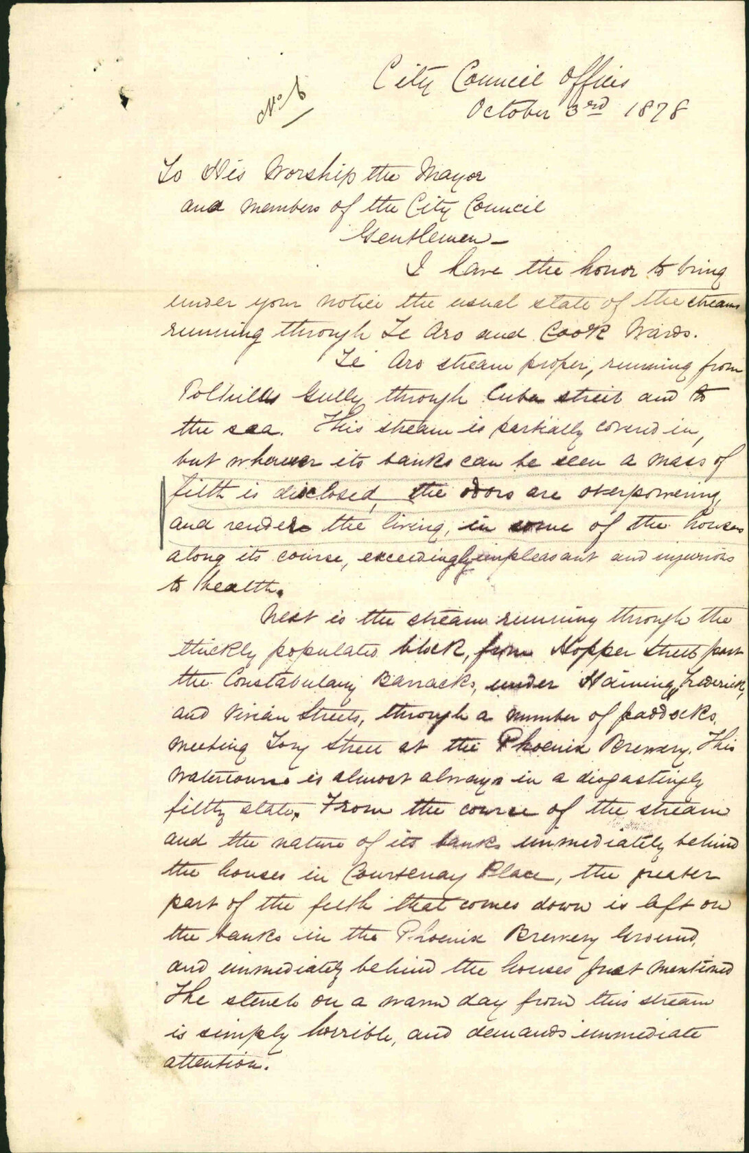 Report on the state of the stream running through Te Aro and Cook Wards, Alfred Johnson, Inspector of Nuisances
