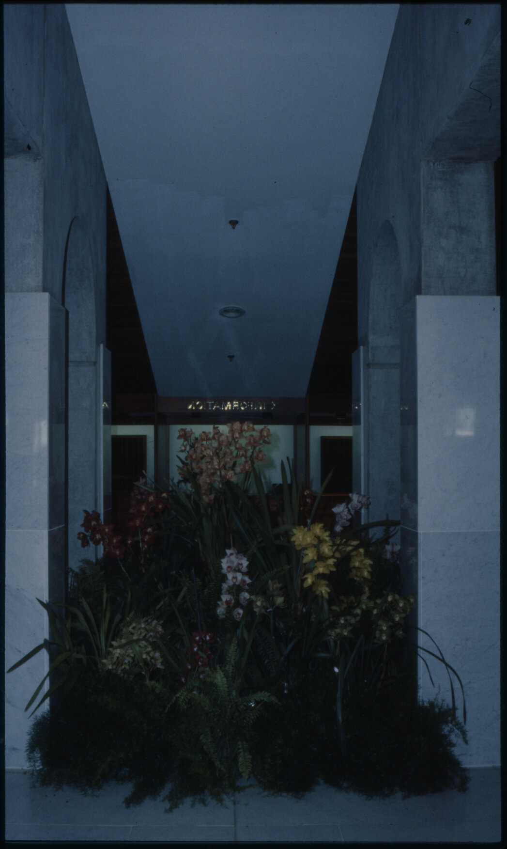 Michael Fowler Centre