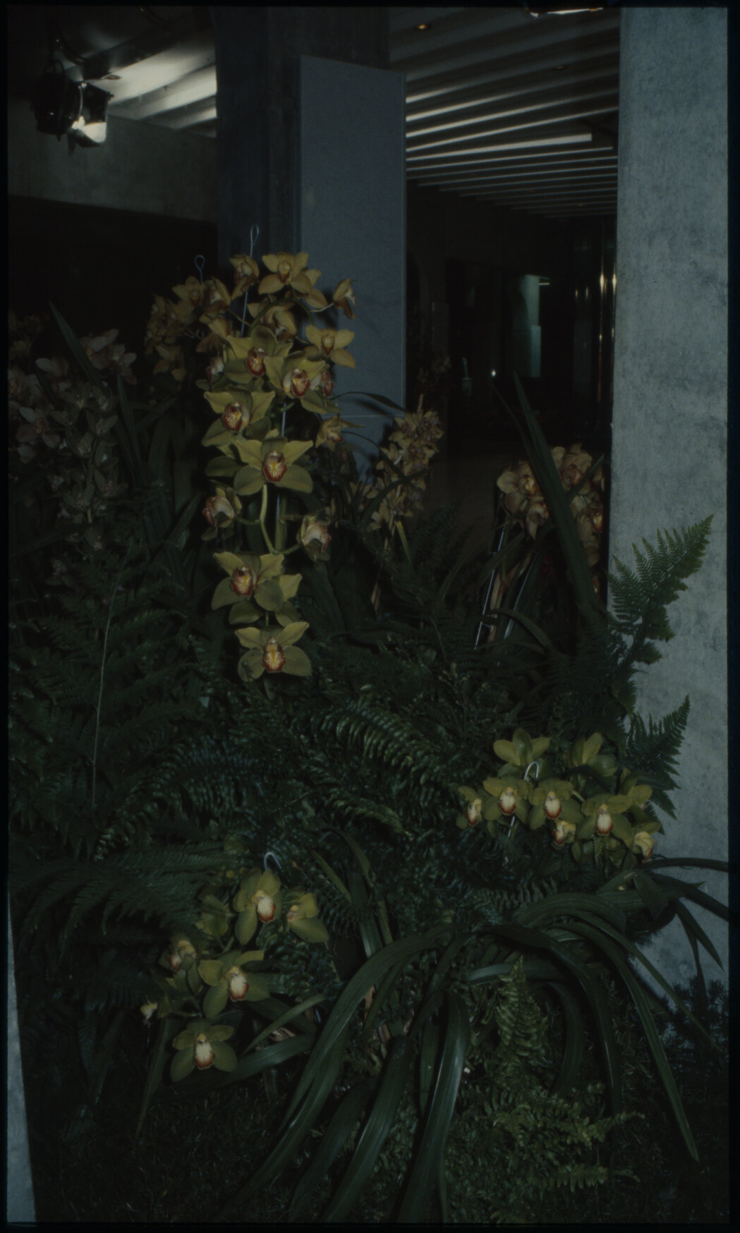 Michael Fowler Centre