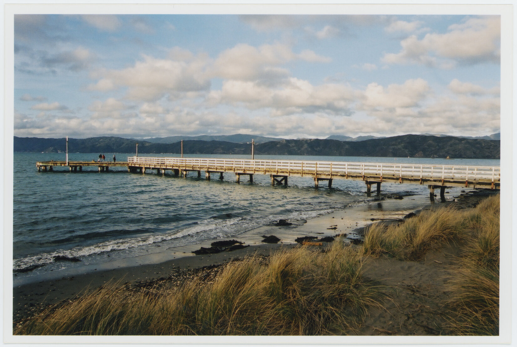 Seatoun Wharf