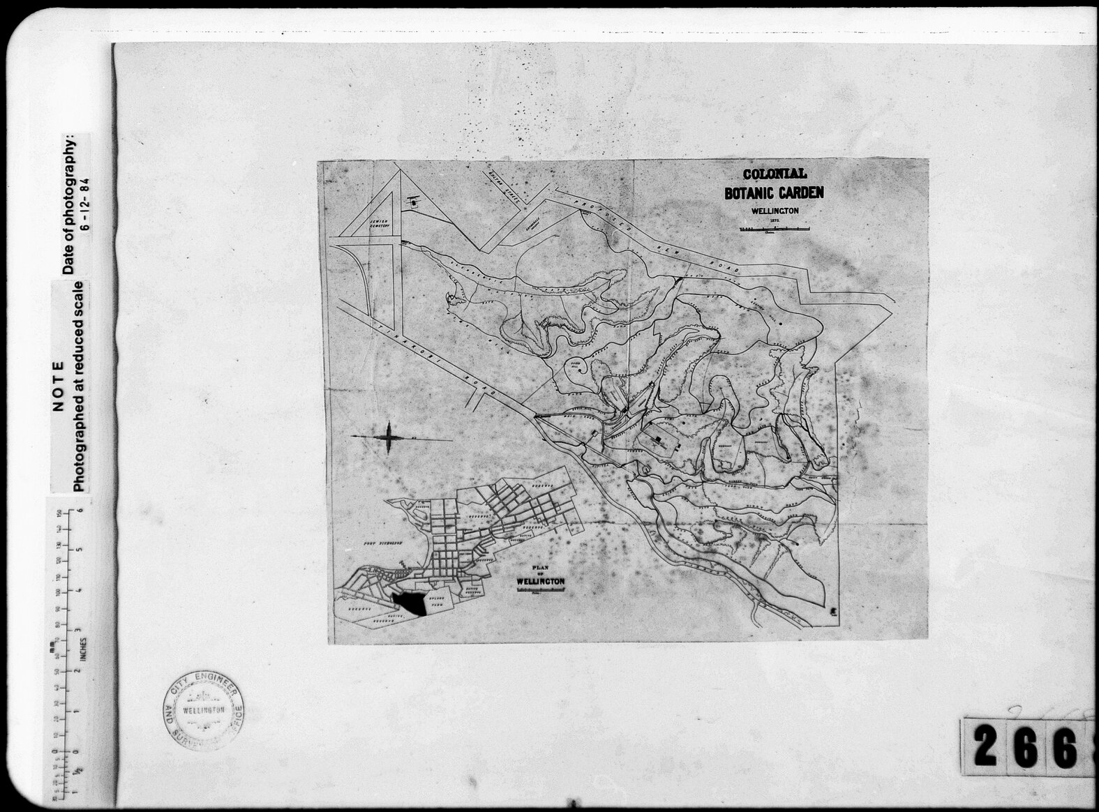 Botanical Gardens with paths and streams