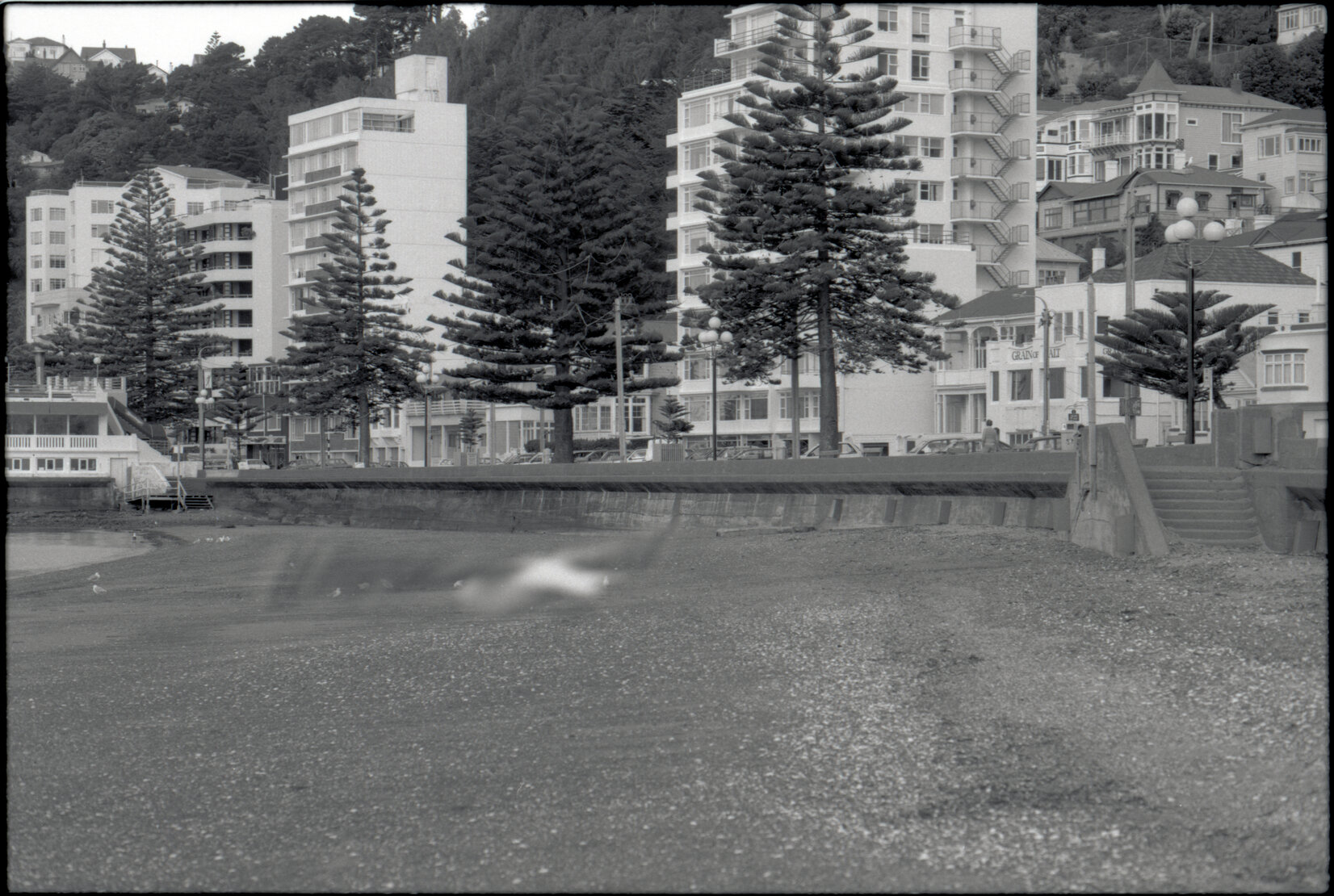 Sea Wall, Oriental Bay
