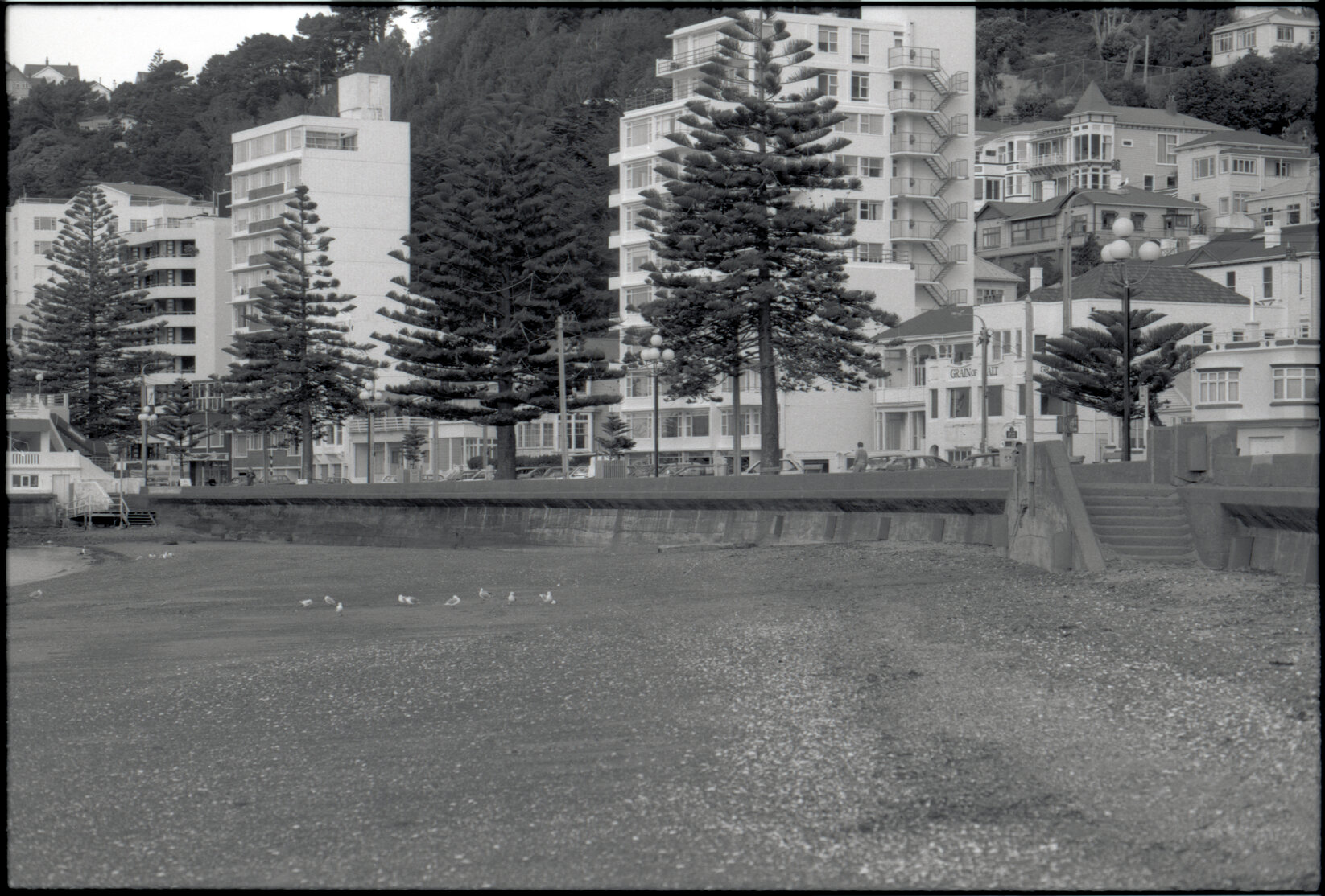 Sea Wall, Oriental Bay