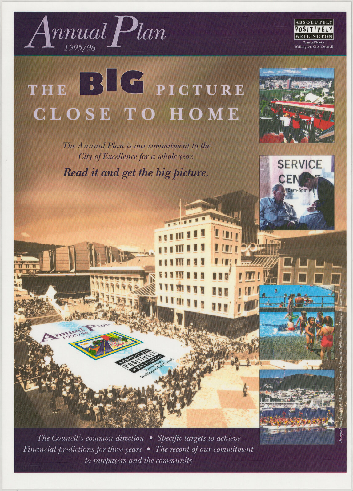 Annual Plan 1995/96, the big picture close to home