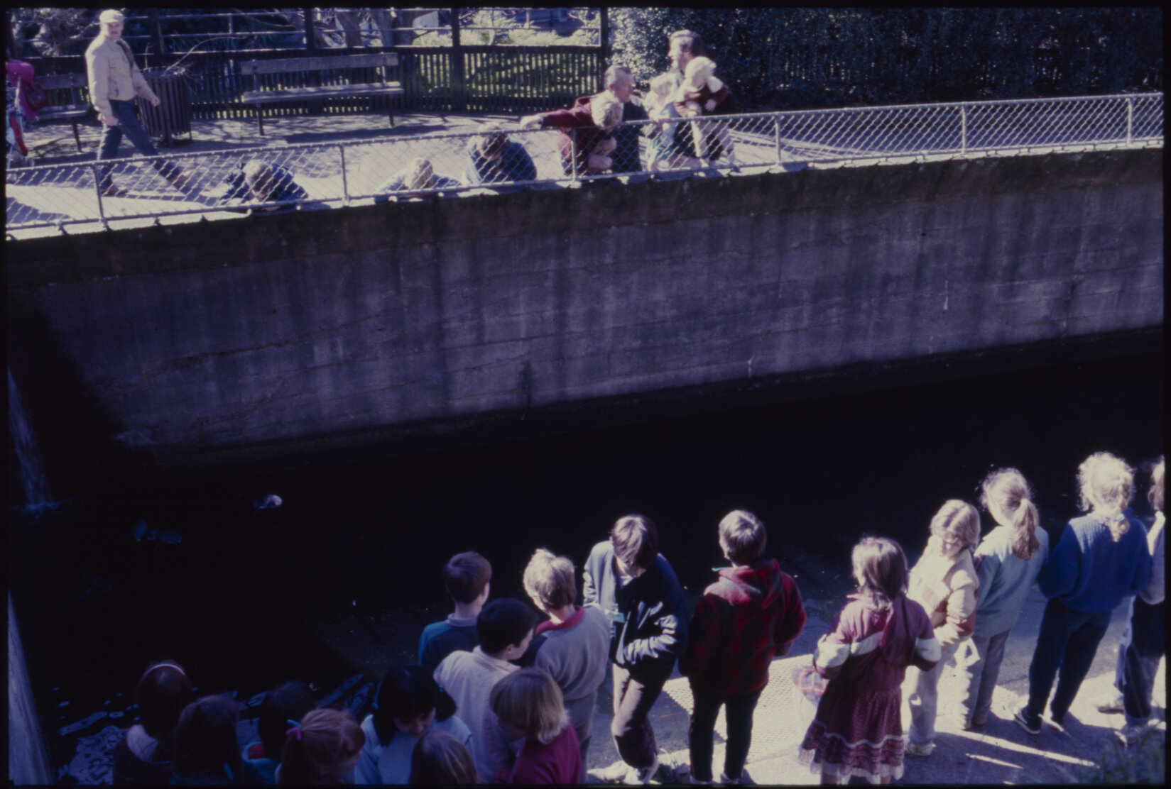 Zoo: holiday programme