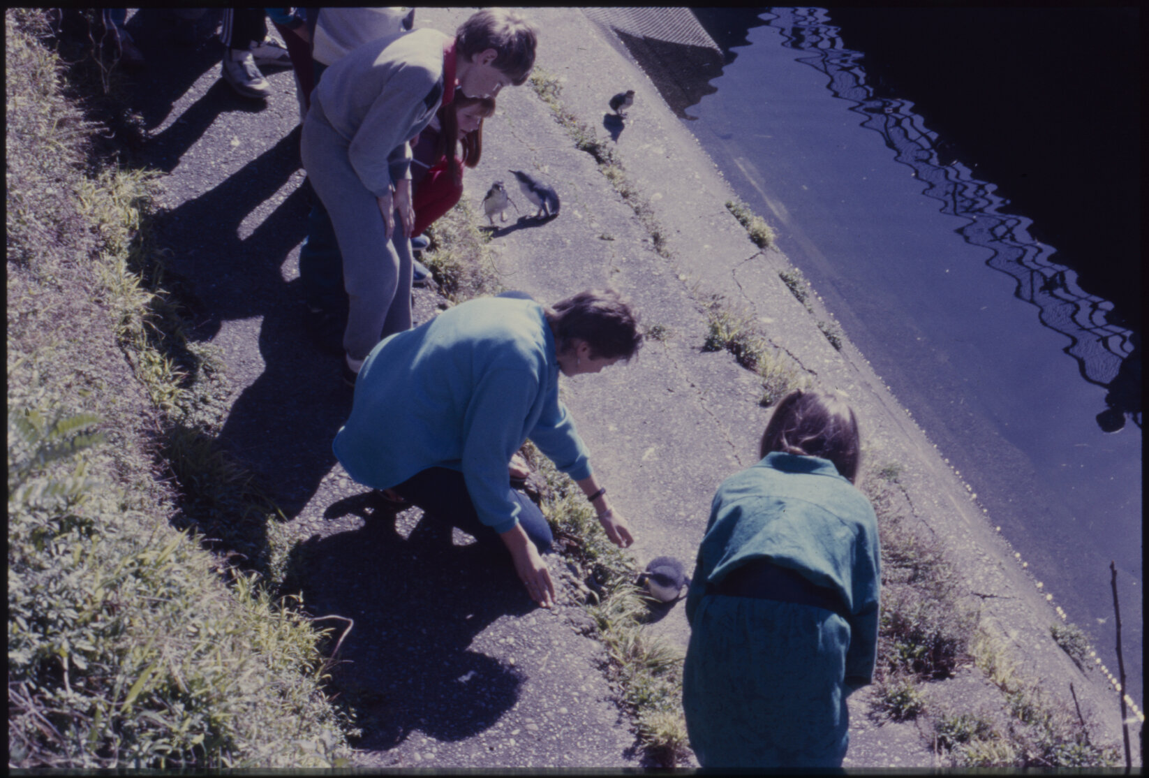 Zoo: holiday programme