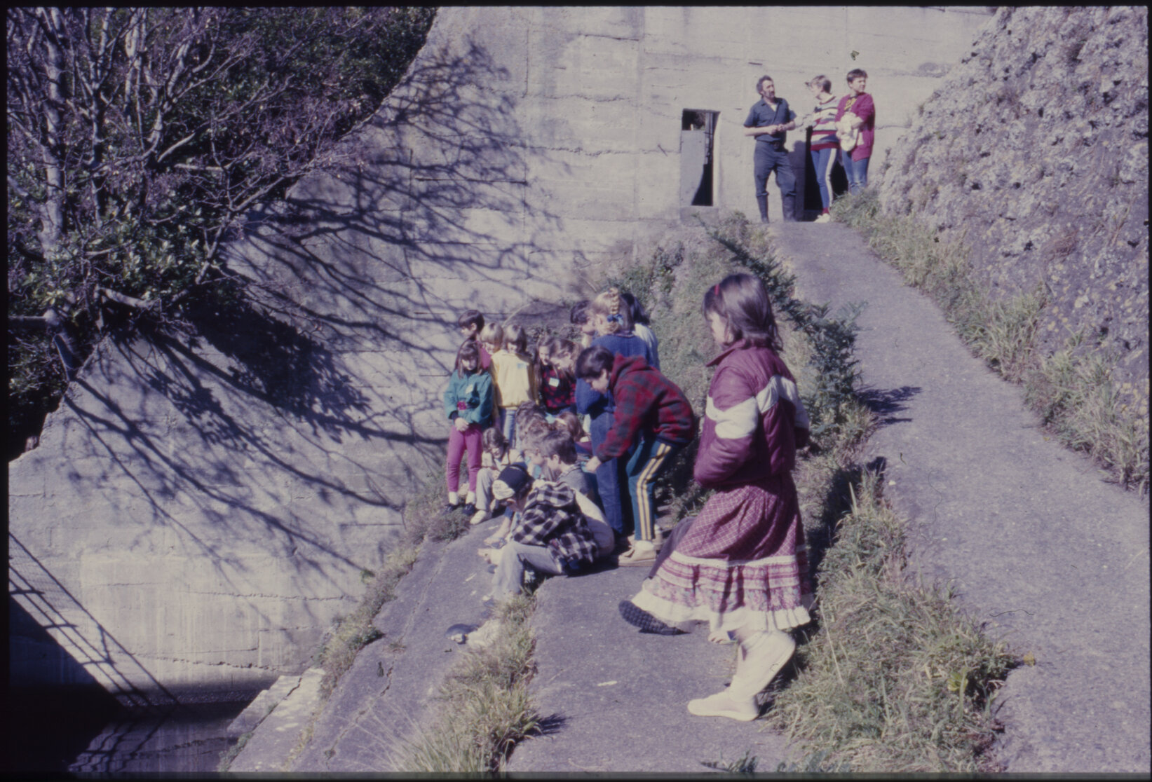 Zoo: holiday programme