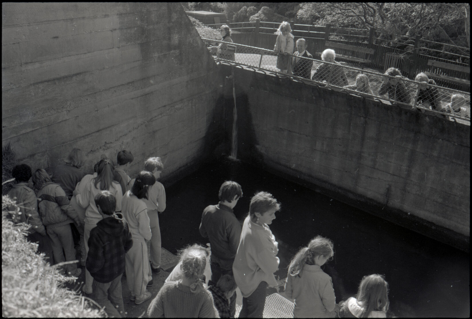 Zoo: holiday programme