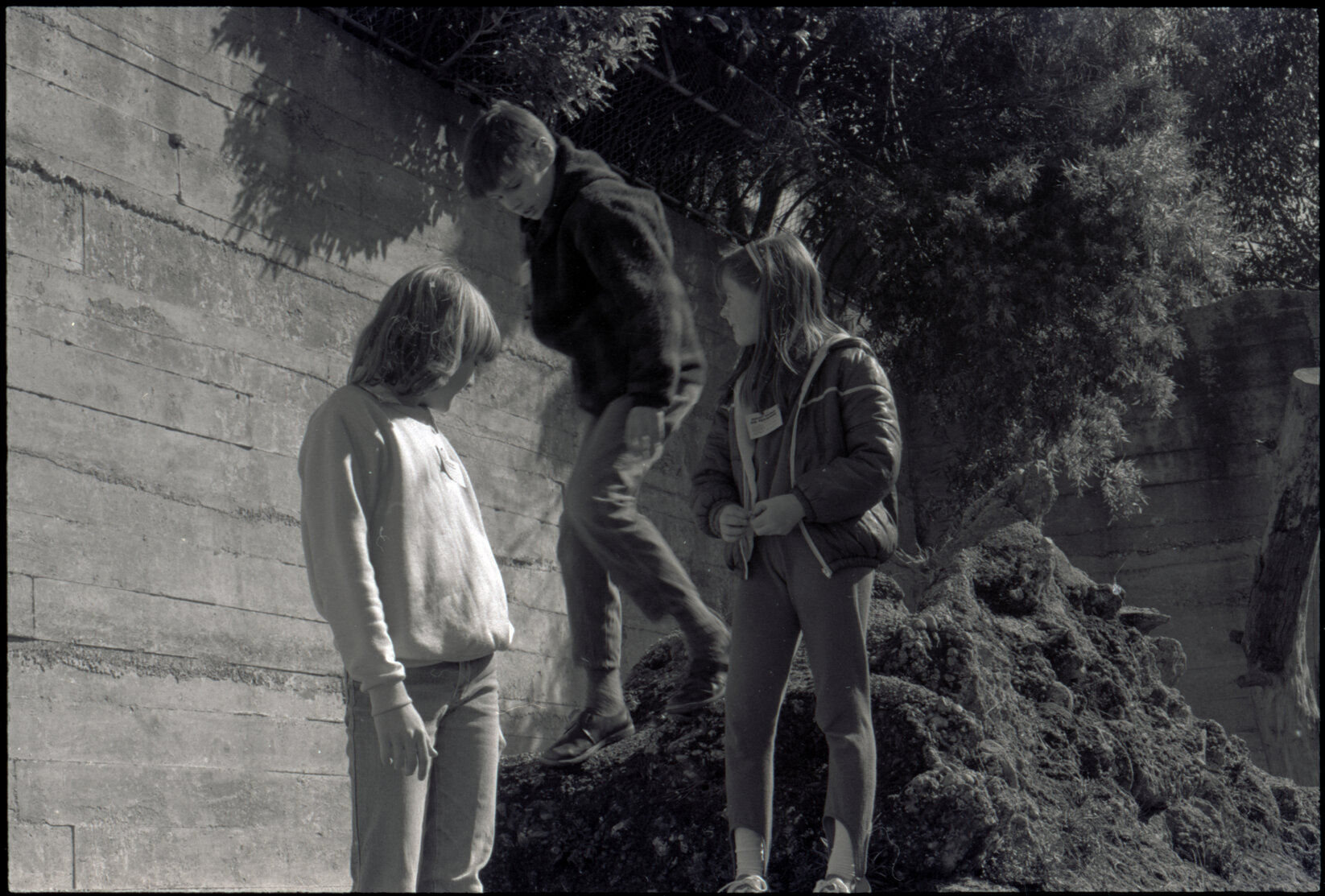 Zoo: holiday programme