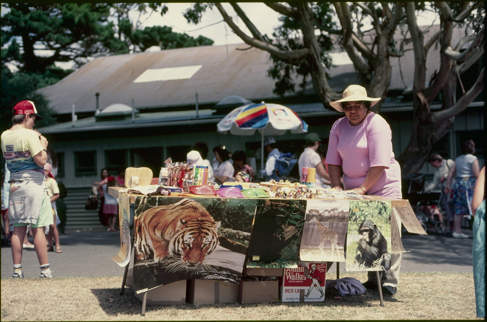 Summer City - Zoo Day
